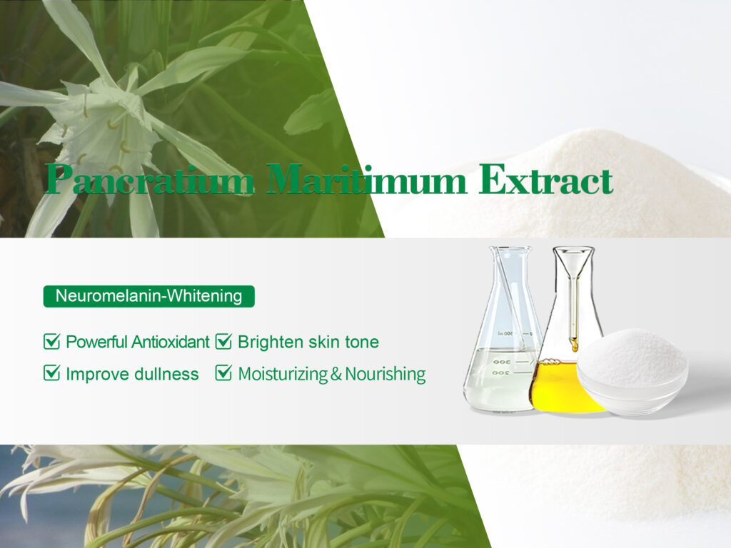 Pancratium Maritimum Extract