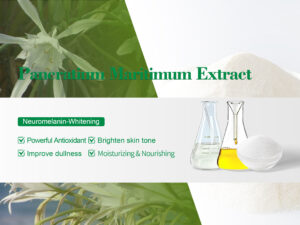 Pancratium Maritimum Extract
