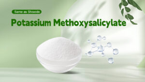 Potassium Methoxysalicylate