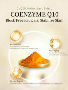 Poudre de COENZYME Q10